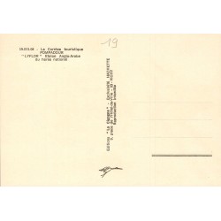 CPSM Pompadour – Étalon anglo-arabe LYFLOR du Haras national