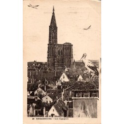 Carte postale ancienne des cigognes à Strasbourg