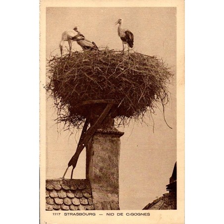 Carte postale ancienne d’un nid de cigognes à Strasbourg