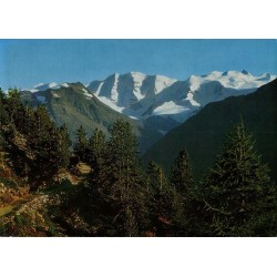 Carte postale ancienne Hohenweg Piz Palü Bellavista Suisse