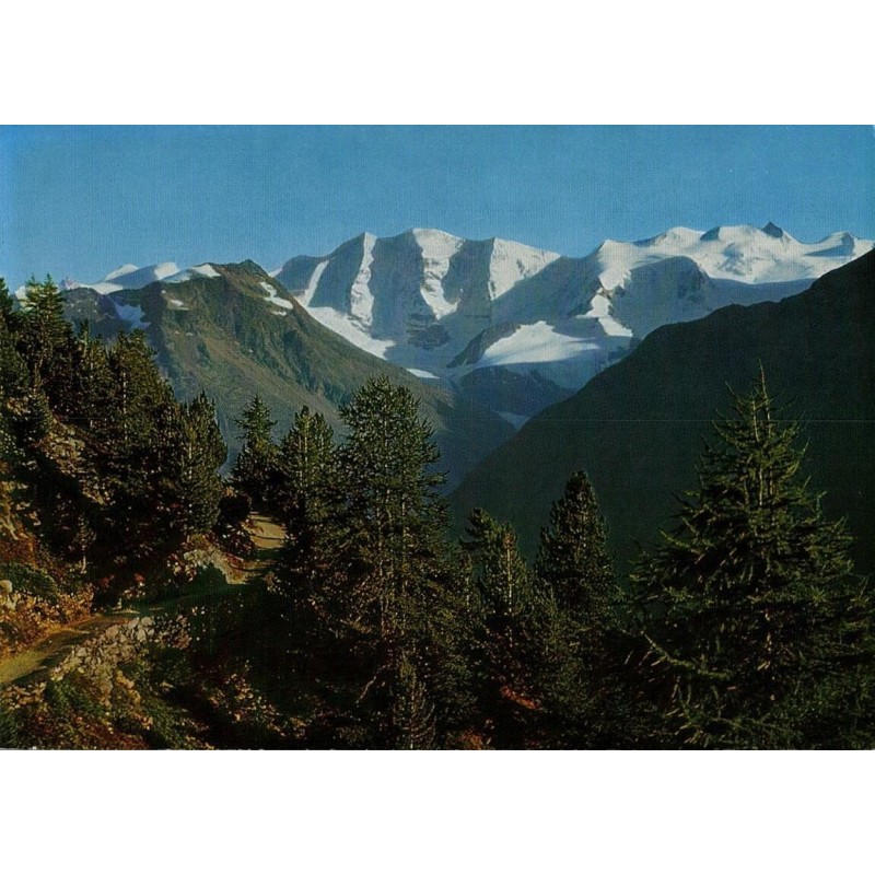 Carte postale ancienne Hohenweg Piz Palü Bellavista Suisse