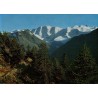 Carte postale ancienne Hohenweg Piz Palü Bellavista Suisse