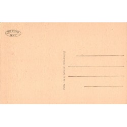 Carte postale ancienne Mont Sainte-Odile la source