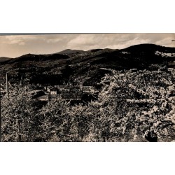 MUNSTER - Vue gérérale