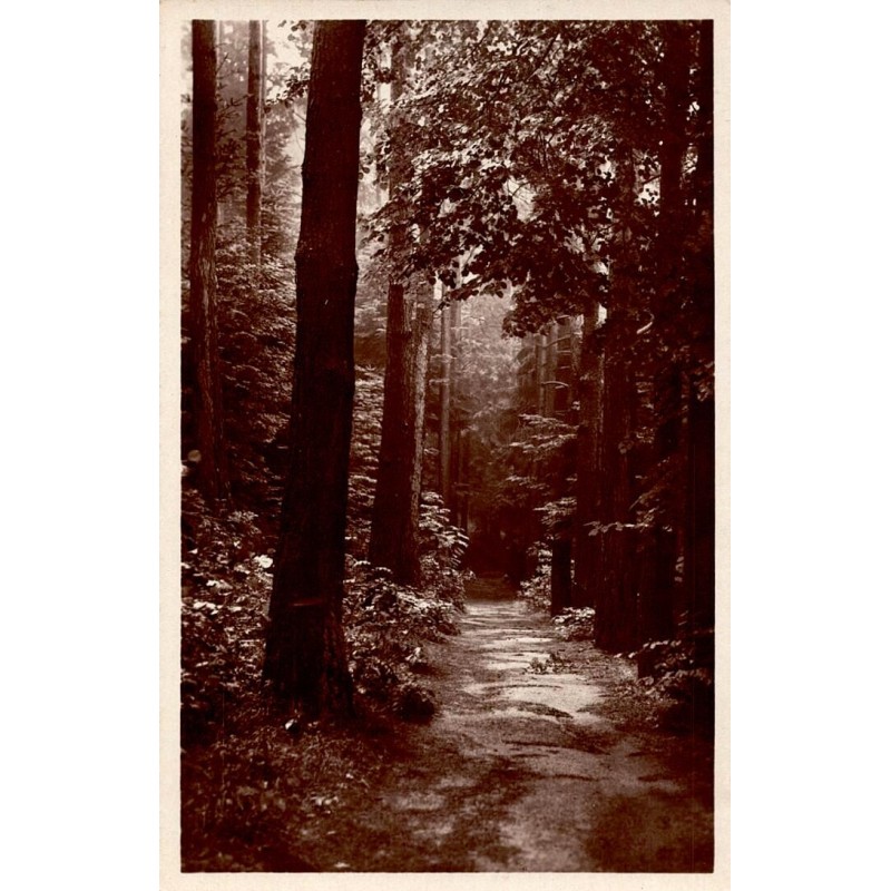 Carte postale ancienne des environs de Munster montrant le paysage de La Furch