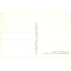 Carte postale ancienne Monnetier château et l’Arve 726m Haute-Savoie