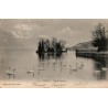 421 - ANNECY - L'Île des Cygnes