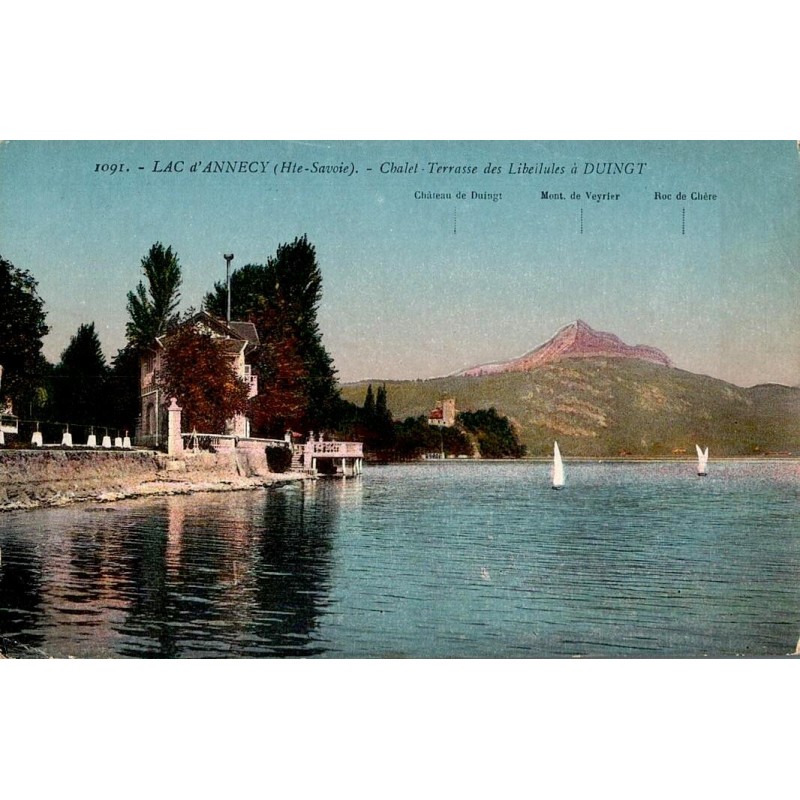 1091 - LAC D'ANNECY (haute Savooie) - Chalet Terrasse des Libéllules à DUINGT