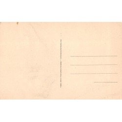 Carte postale ancienne Assy Passy chaîne du Mont-Blanc