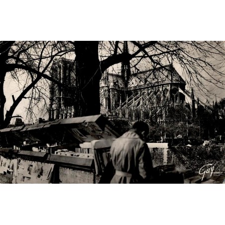 Carte postale ancienne de Paris montrant un bouquiniste de la rive gauche avec Notre-Dame en arrière-plan