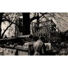 Carte postale ancienne de Paris montrant un bouquiniste de la rive gauche avec Notre-Dame en arrière-plan