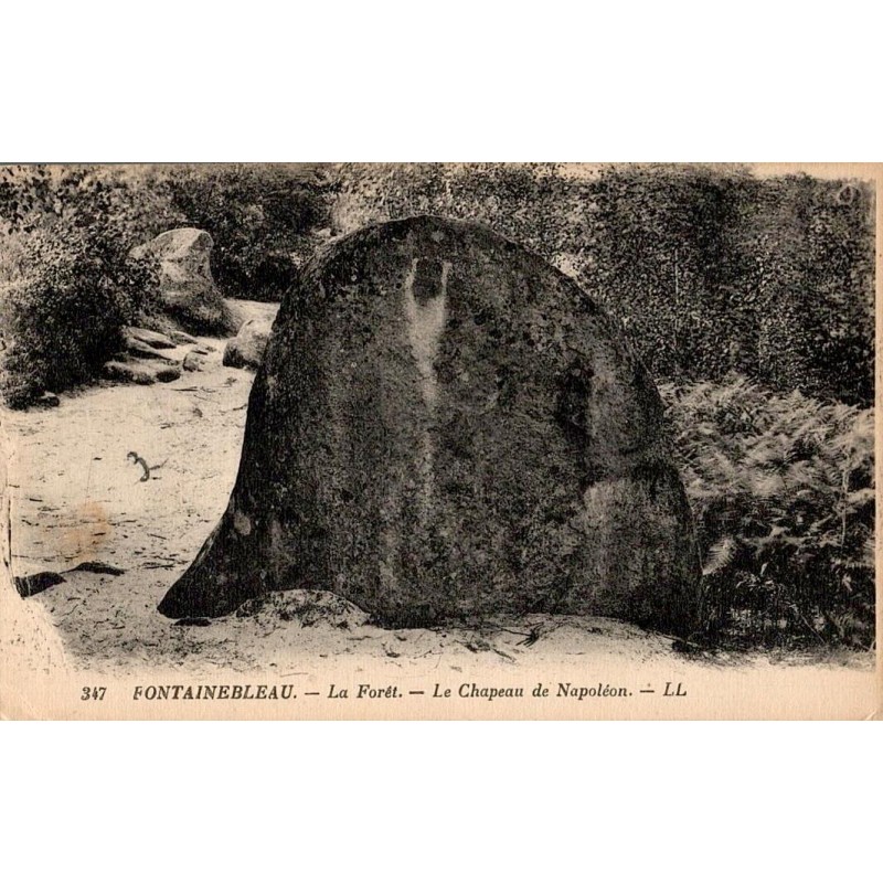 347 - FONTAINEBLEAU - La Forêt - Le Chapeau de Napoléon -- LL