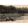 137 - VERSAILLES - Bassin de Neptune -- LL
