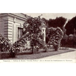 VERSAILLES - Pylônes de Rosiers Dorothy Perkins dans la Roseraie des établissements G.TRUFFAUT