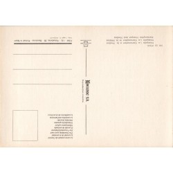 Fès (Maroc) – Carte postale ancienne & vue de la médina historique