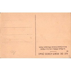 Carte postale ancienne Port-Cros Manoir d’Hélène et Jean d’Agrève