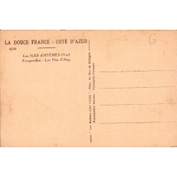 Carte postale ancienne Porquerolles pins d’Alep îles d’Hyères