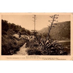 Carte postale ancienne île de Port-Cros Var vue de l’île