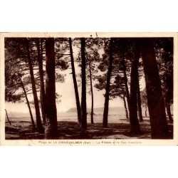 plage de la Croix Valmer (Var)  - La Pinède et le Cap Cavalaire