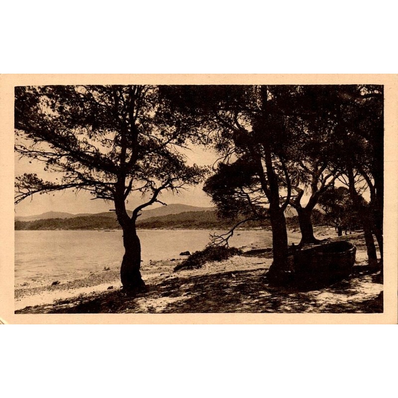 16 - LE LAVANDOU (Var) - Plage de la Favière