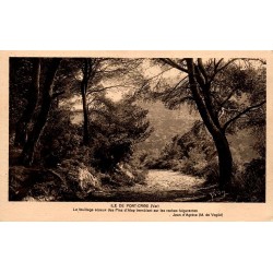 Carte postale ancienne Port-Cros pins d’Alep rochers Var îles d’Hyères début XXe siècle