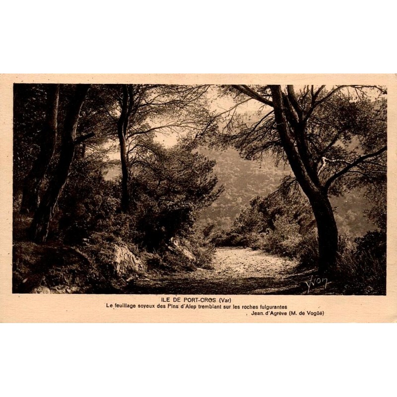 Carte postale ancienne Port-Cros pins d’Alep rochers Var îles d’Hyères début XXe siècle