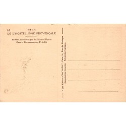 Carte postale ancienne Port-Cros pins d’Alep sur les rochers