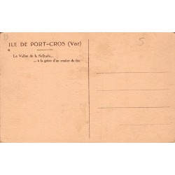 Carte postale ancienne Port-Cros vallon de la Solitude