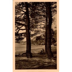 CORNICHE DES MAURES - VAR - Environs du Lavandou - La Plage de la Fossette