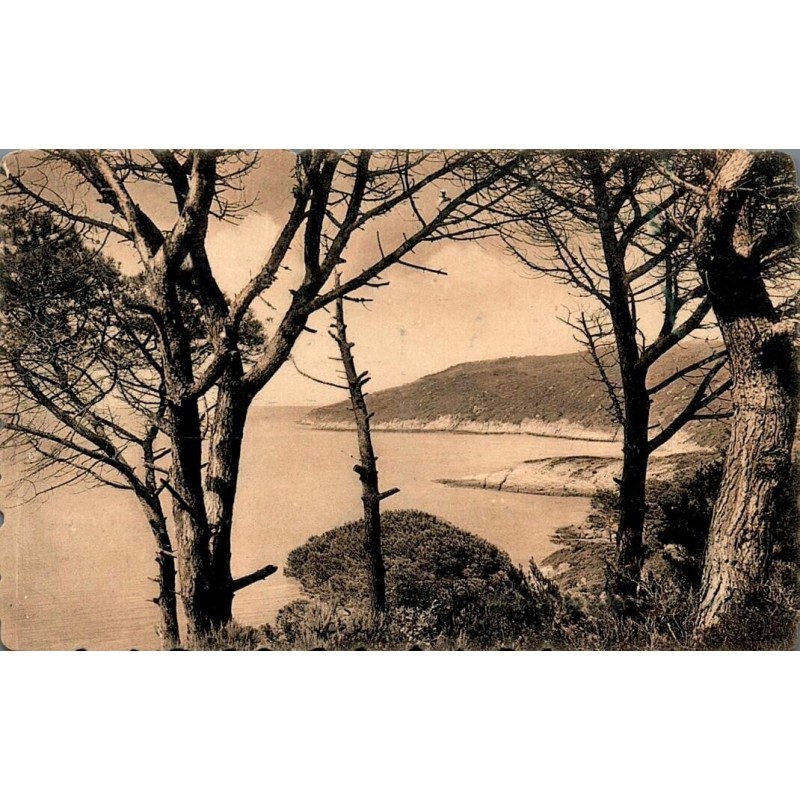 Carte postale ancienne Île du Levant L’Avis Var début XXe siècle