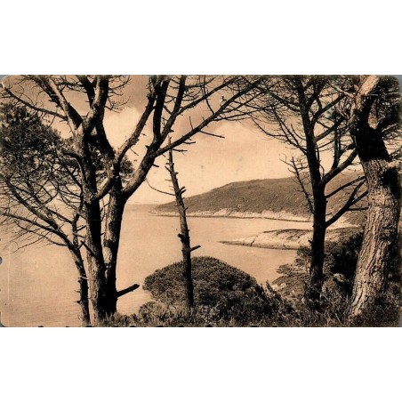 Carte postale ancienne Île du Levant L’Avis Var début XXe siècle