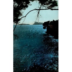 LA COTE D'AZUR - 8256 - St Cyr sur Mer - Les LECQUES - Contre jour