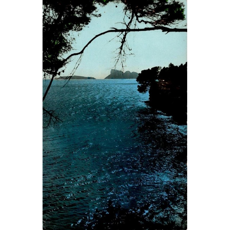 LA COTE D'AZUR - 8256 - St Cyr sur Mer - Les LECQUES - Contre jour