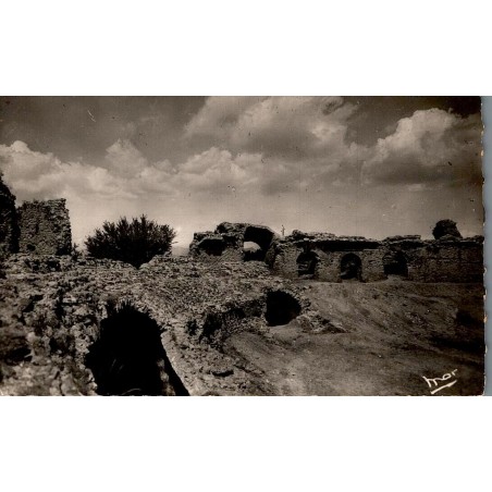 LA COTE D'AZUR - 4354 - Fréjus (Var) - Les Arènes Romaines