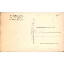 Carte CPSM Fréjus arènes romaines Var