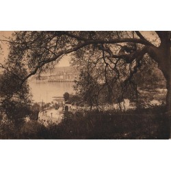 Carte postale ancienne – Menton vue à travers les oliviers (Alpes-Maritimes)