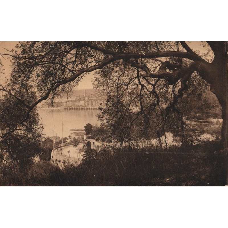 Carte postale ancienne – Menton vue à travers les oliviers (Alpes-Maritimes)