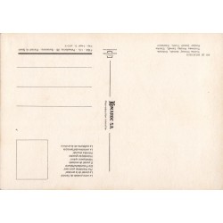 Meknès – Mausolée de Moulay Ismaïl | Carte postale ancienne & patrimoine