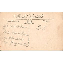 Carte postale ancienne Belfort château et Lion LL