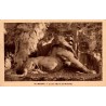 26 - BELFORT - Le Lion (Œuvre de Bartholdi.)