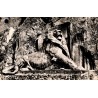 CPSM Belfort Lion de Bartholdi