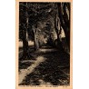 Carte postale ancienne Villers Cotterets Allée des Soupirs parc Aisne