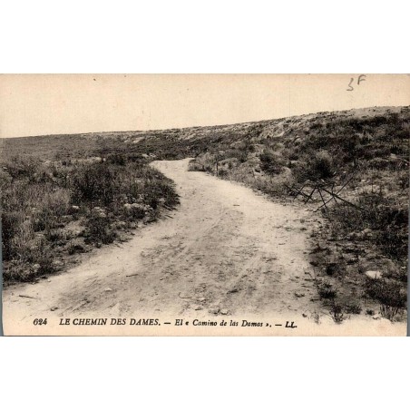 624 - LE CHEMIN DES DAMES - El  "Camino de las Damas" -- LL