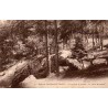 Carte postale ancienne forêt de Villers Cotterets pierre branlante Aisne