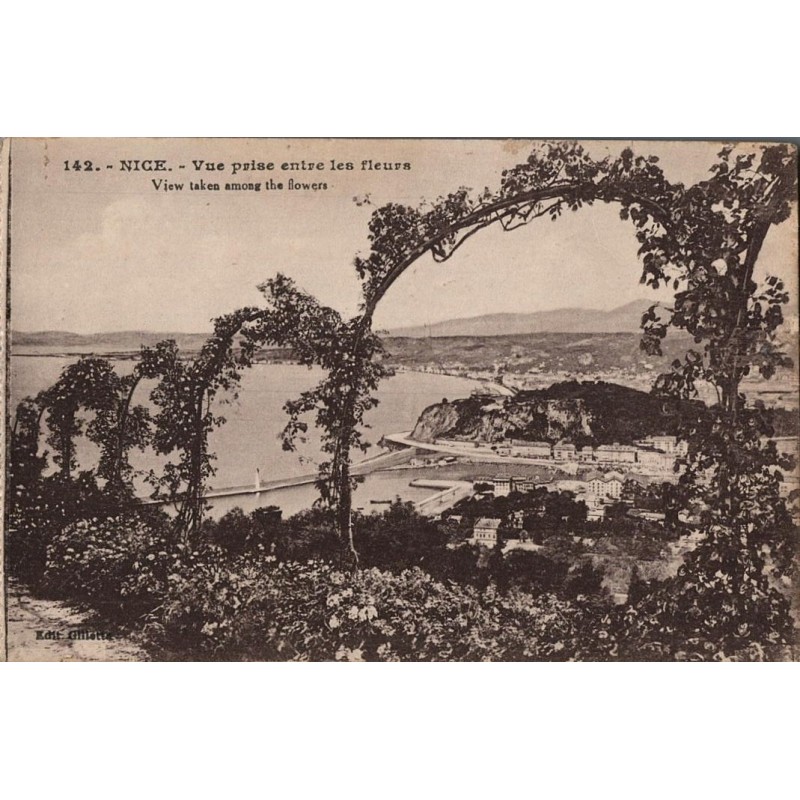 Carte postale ancienne Nice vue prise entre les fleurs