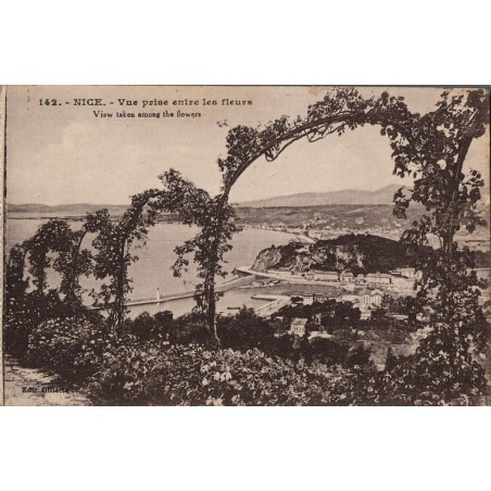 Carte postale ancienne Nice vue prise entre les fleurs