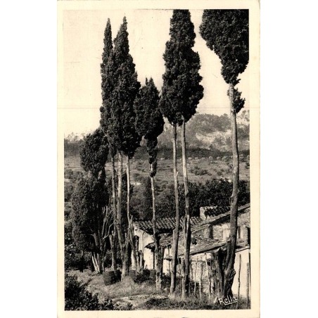 Carte postale ancienne paysage provençal collection Rella