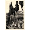 Carte postale ancienne paysage provençal collection Rella
