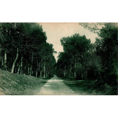 Île Oléron - BOYARDVILLE -forêt de Saumonnards