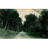 Île Oléron - BOYARDVILLE -forêt de Saumonnards